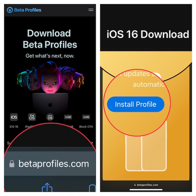 iOS 16 beta profile