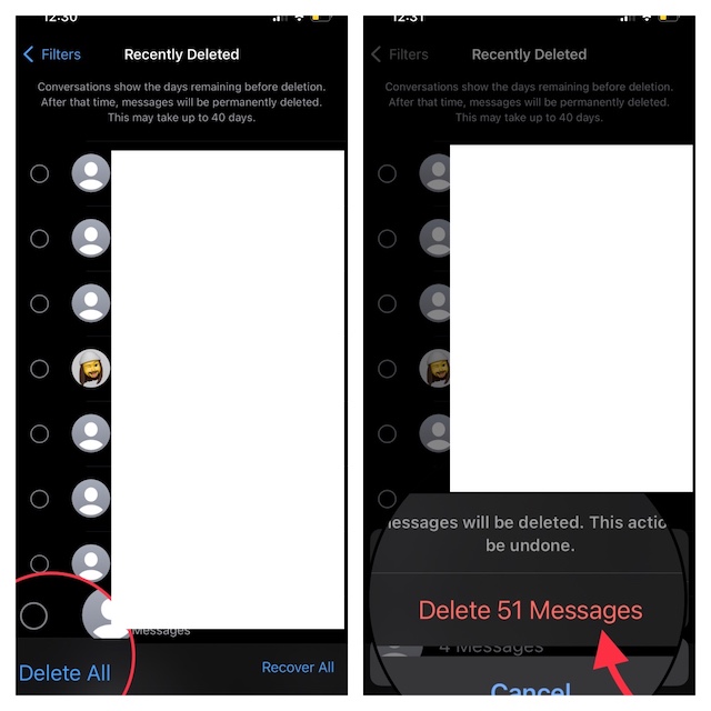 Permanently Delete All the Recently Deleted Messages At Once on iPhone and iPad