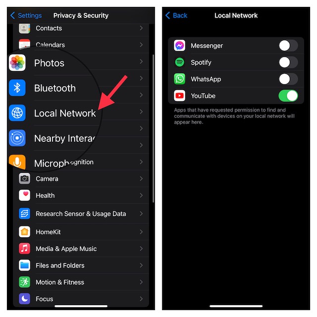 Manage Local Network on iPhone and iPad