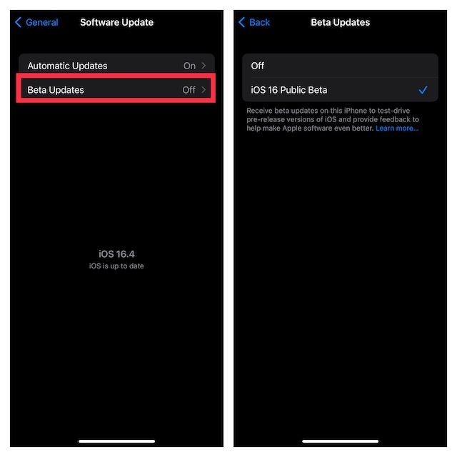 Enable beta updates on iPhone and iPad
