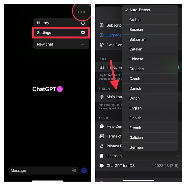 Change ChatGPT language on iPhone