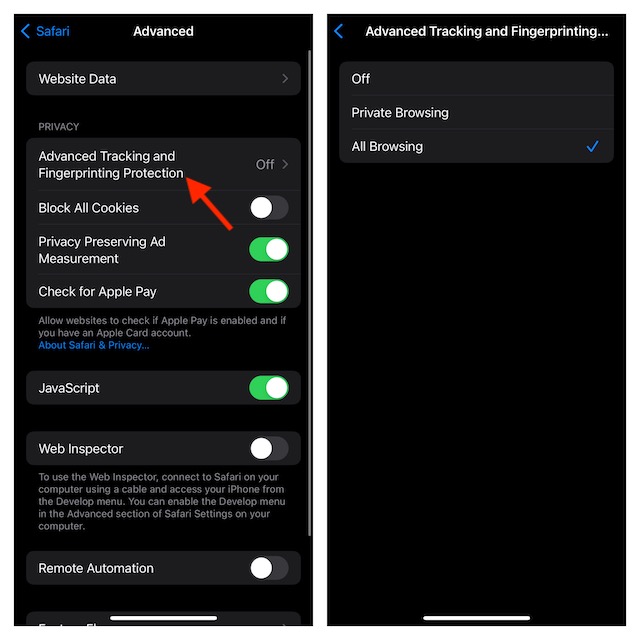 Enable Safari Advanced Tracking and Fingerprinting Protection in iOS 17 and iPadOS 17
