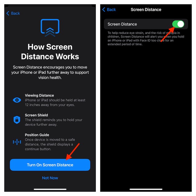 set up and use Screen Distance on iPhone and iPad