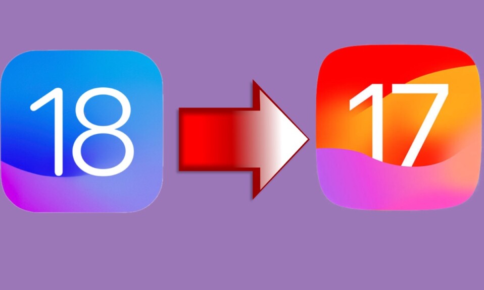 Downgrade From iOS 18 Beta to iOS 17 Without Losing Any Data 1