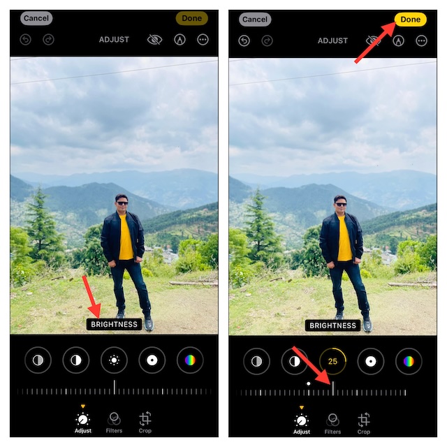 Fine Tune the Brightness of Images in Photos App on iOS and iPadOS