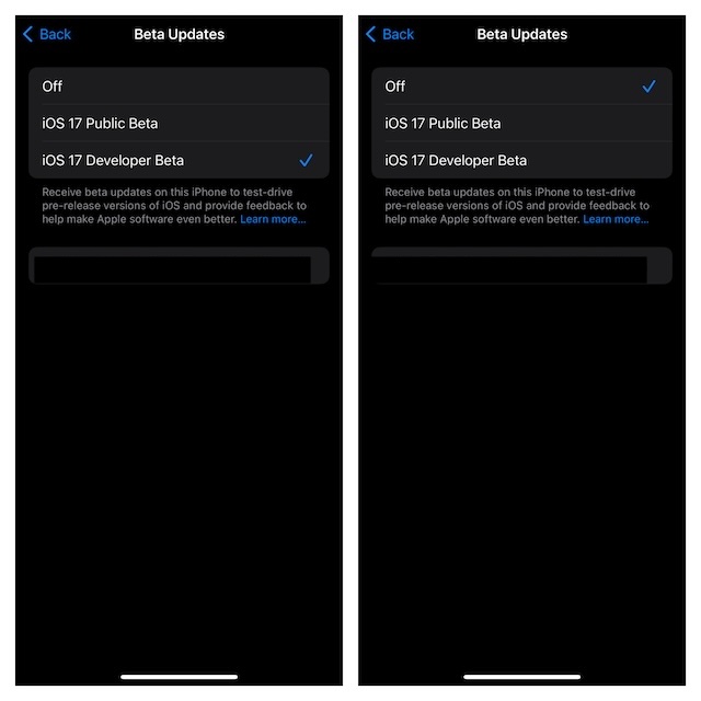 Secure way to Remove iOS beta from iPhone and iPad