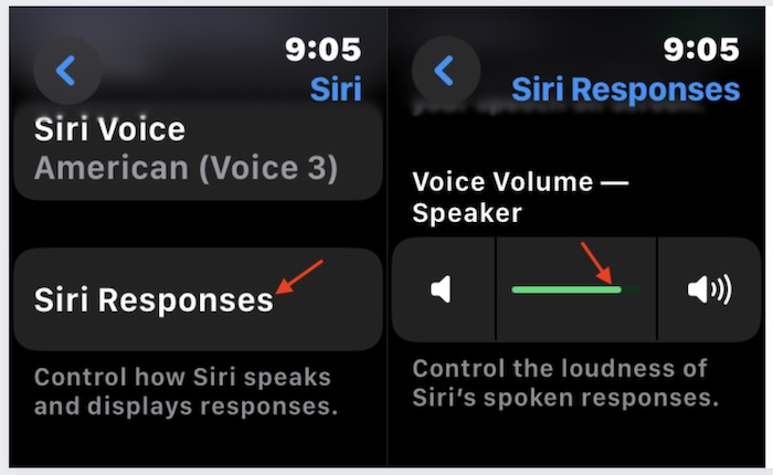 Adjust Siri Volume on watchOS
