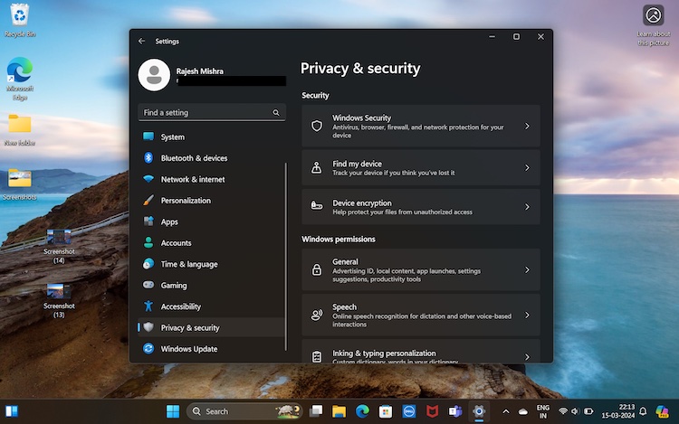 Windows Privacy and security