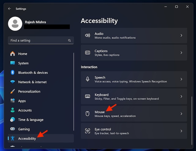 Choose Mouse in Accessibility setting on Windows