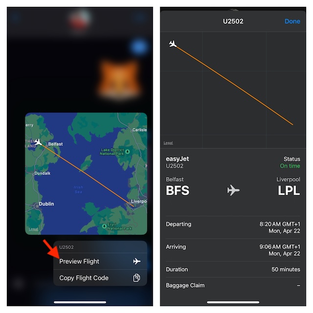 Tap on the Preview Flight option in the Messages app on iPhone and iPad