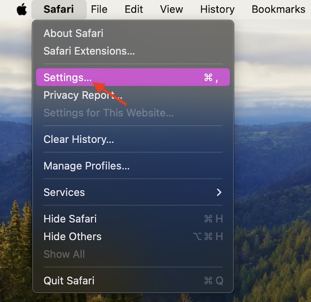 Settings menu in Safari on Mac