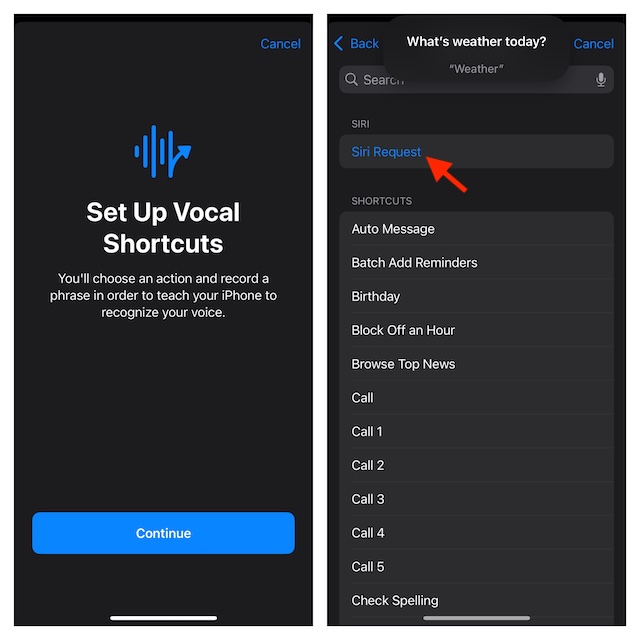 Invoke specific Siri requests with Vocal Shortcuts in iOS 18
