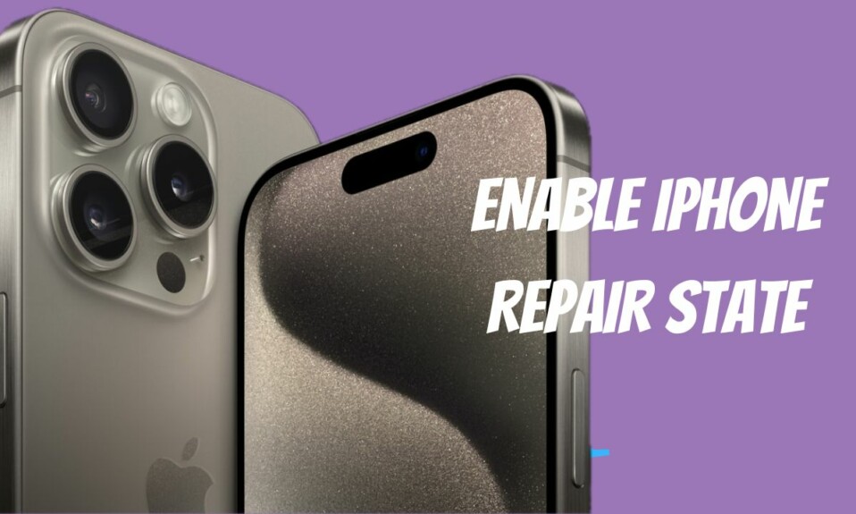 how to enable iPhone repair state